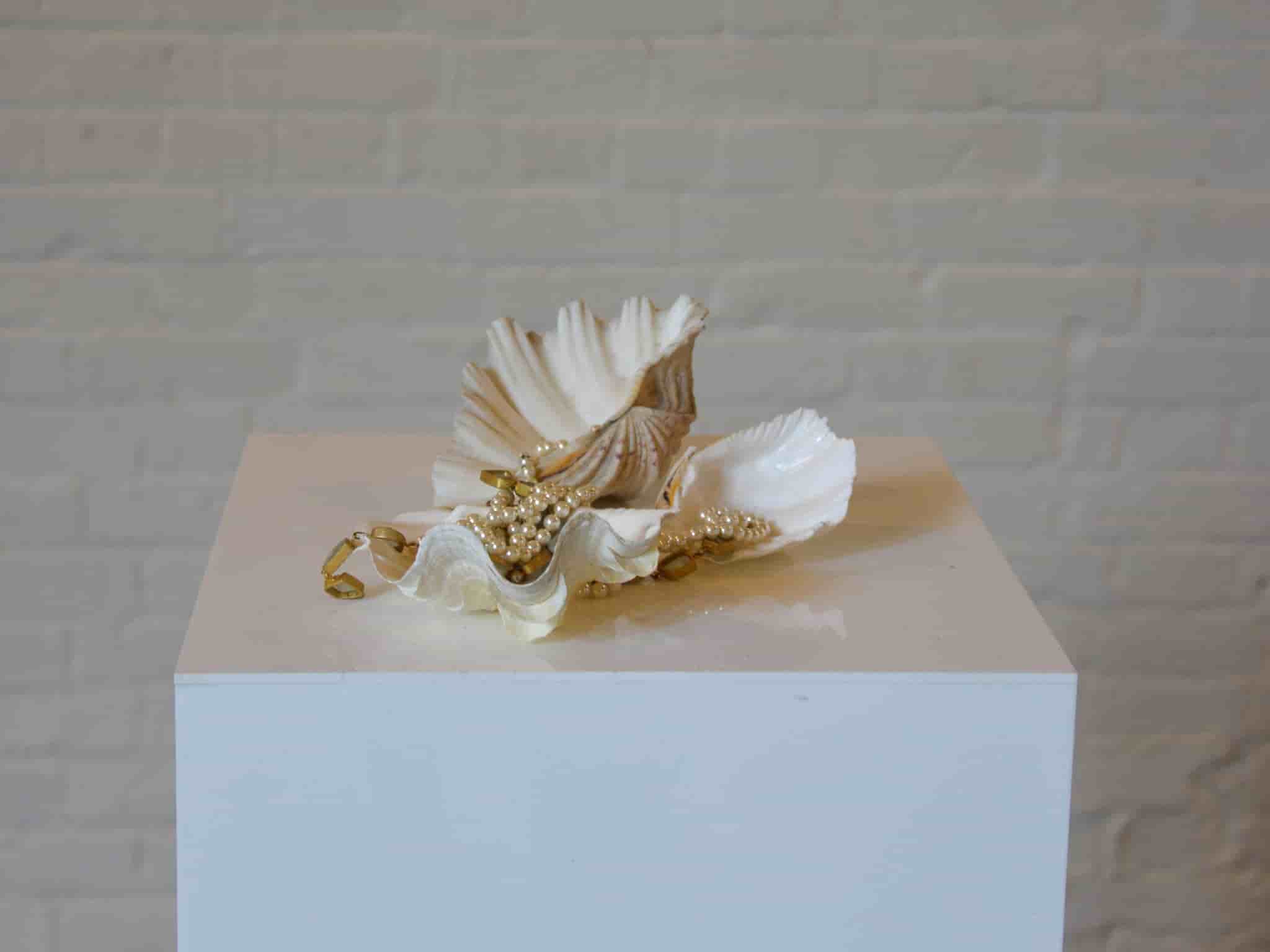 Clam Shells set of 3 gallery image 3