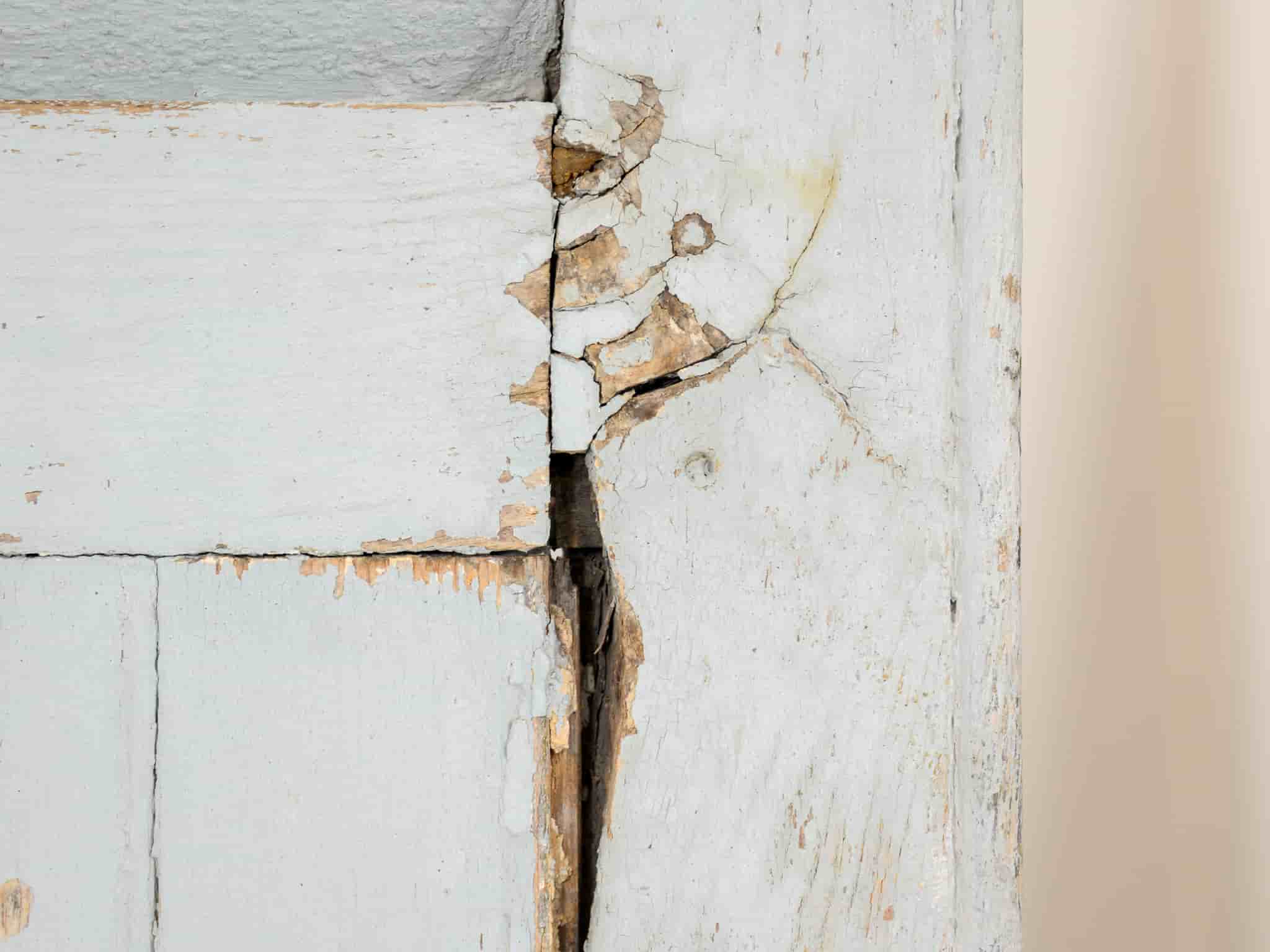 Pair of French painted window shutters gallery image 1