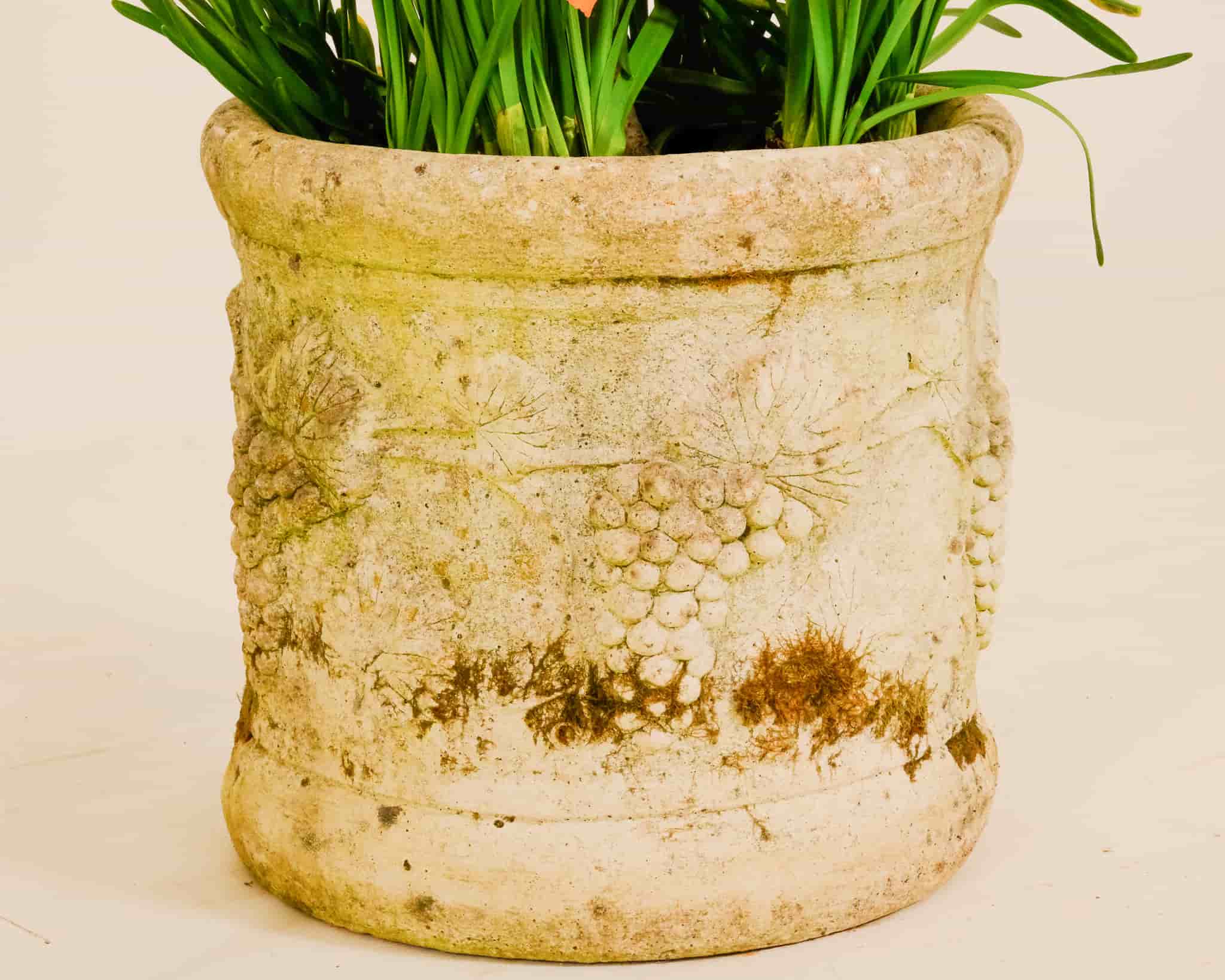 Pair of stone planters with grape design gallery image 4