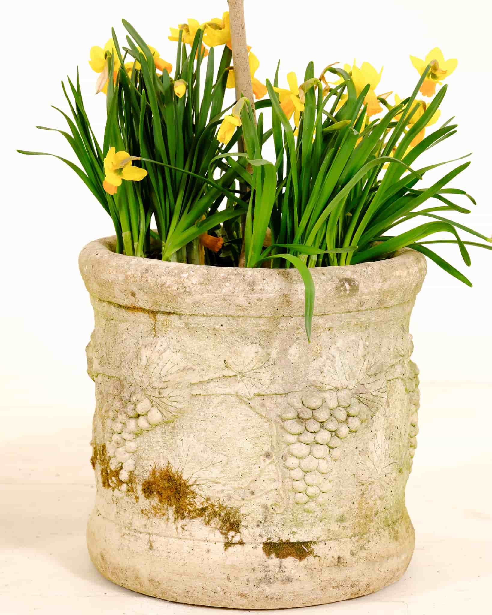 Pair of stone planters with grape design gallery image 6