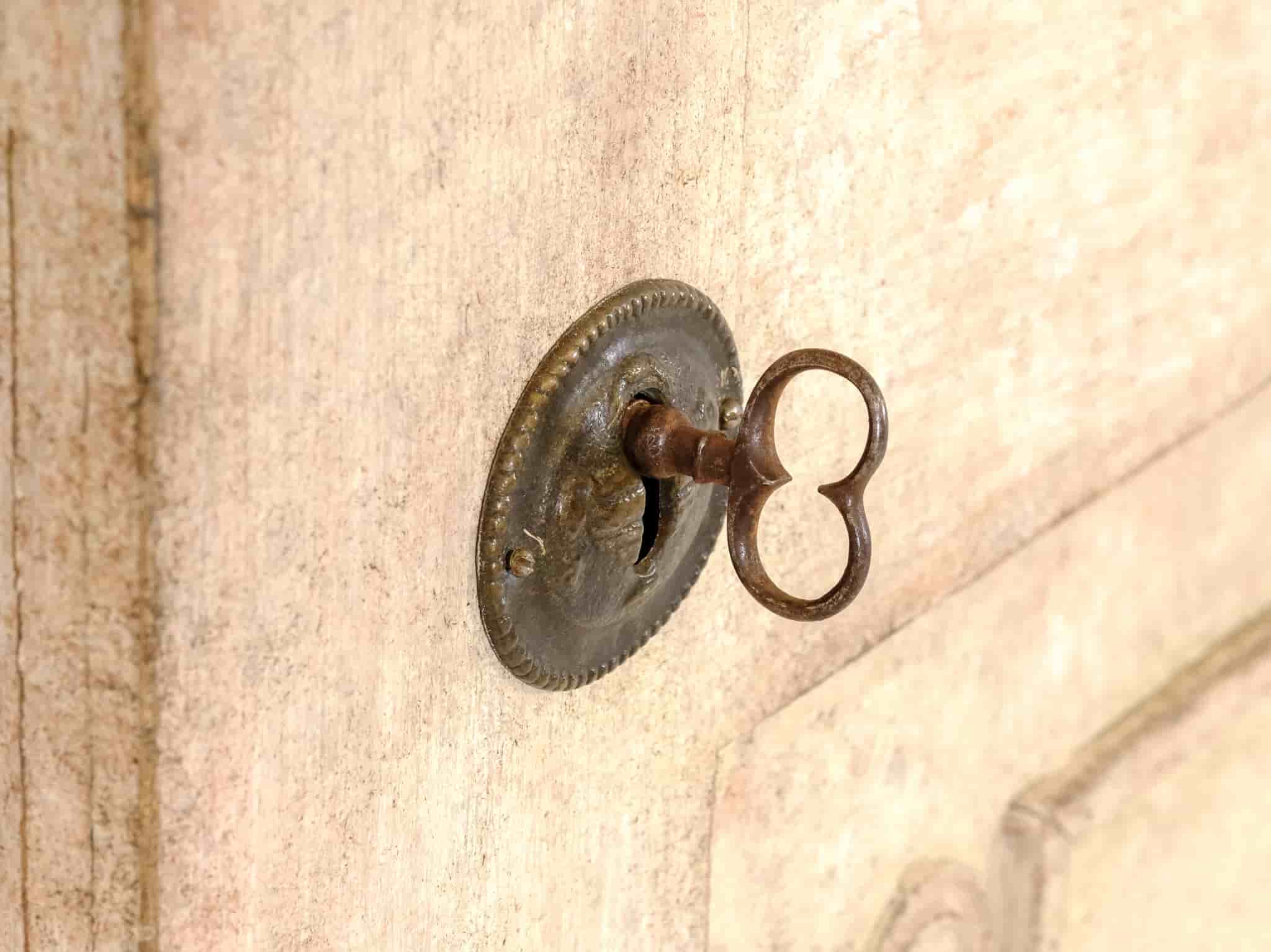 Tall Gustavian single door cupboard gallery image 1