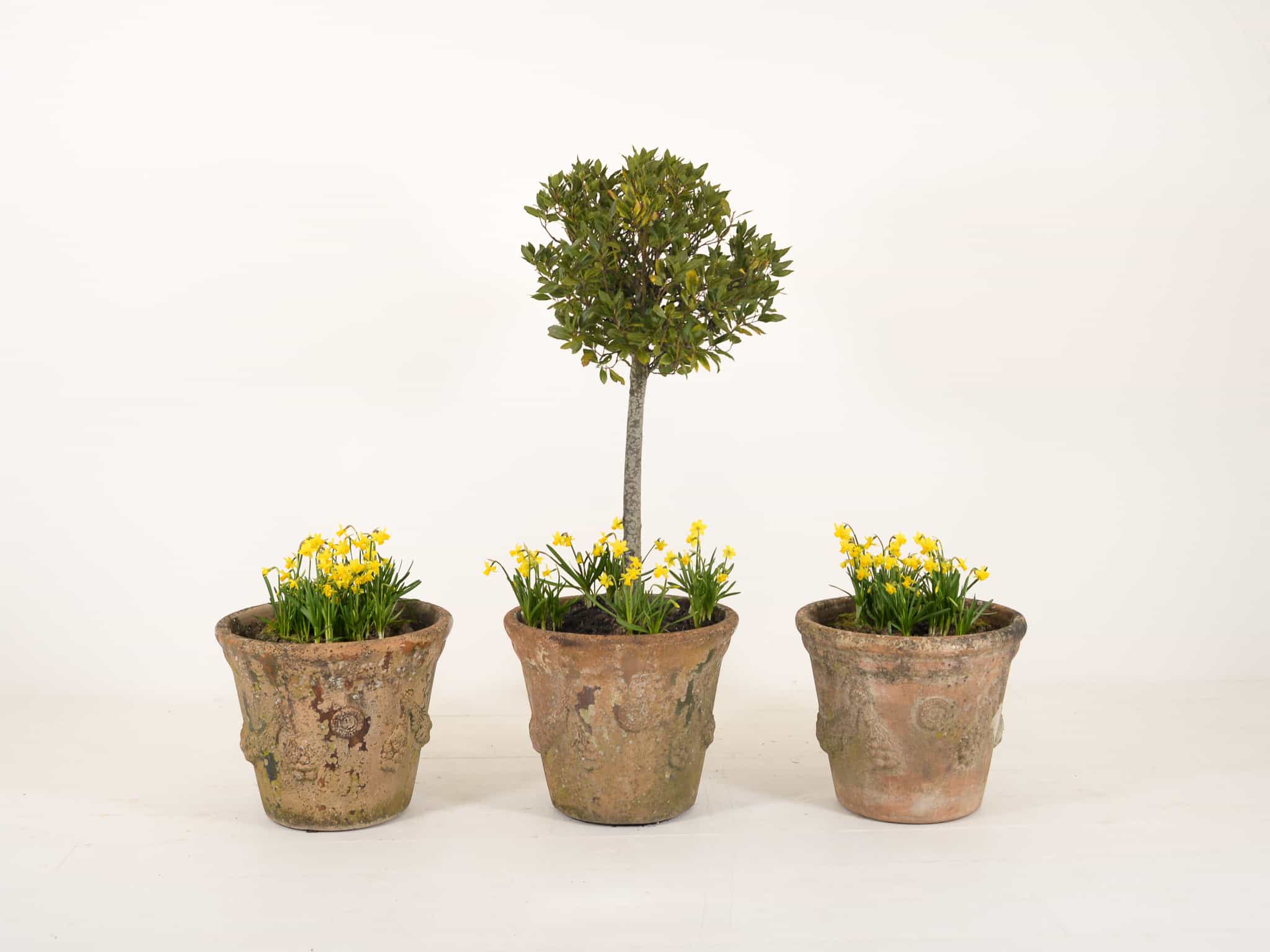 Set of 3 Anduze Planters 52cm