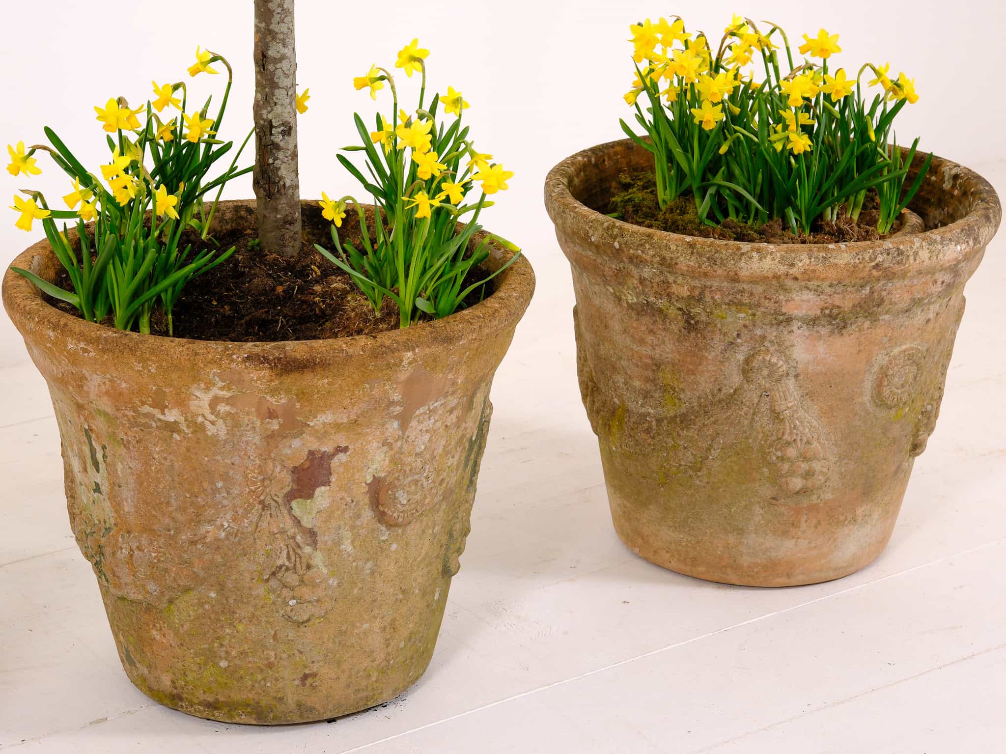 Pair of Anduze garden planters