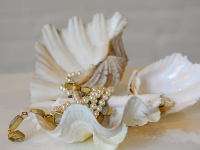 Clam Shells set of 3