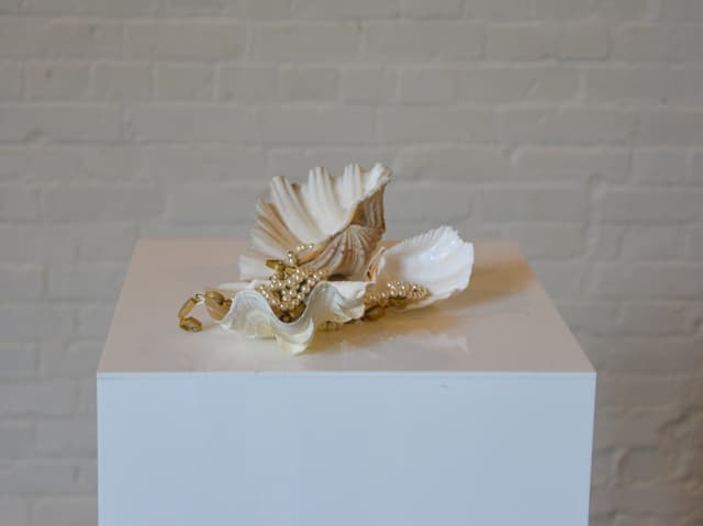 Clam Shells set of 3 gallery image 3