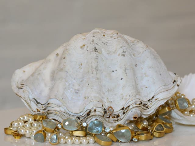 Clam Shell Whole 20cm