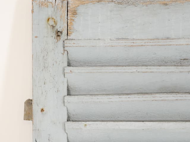 Pair of French painted window shutters gallery image 2