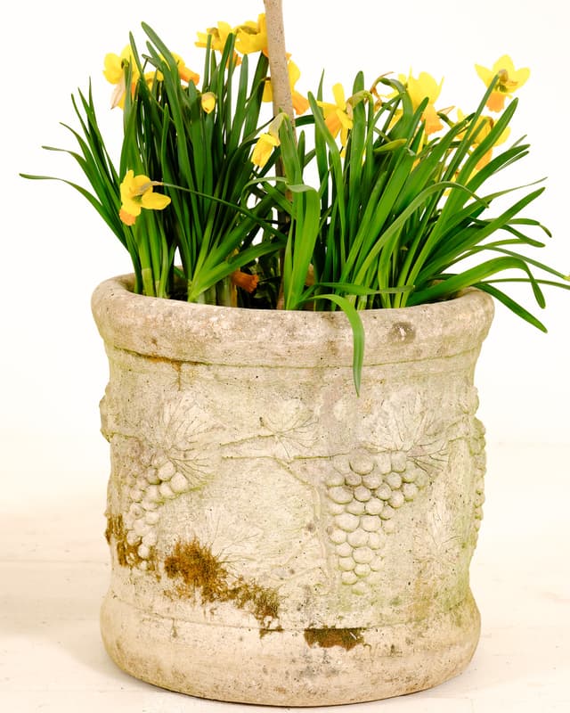 Pair of stone planters with grape design gallery image 6
