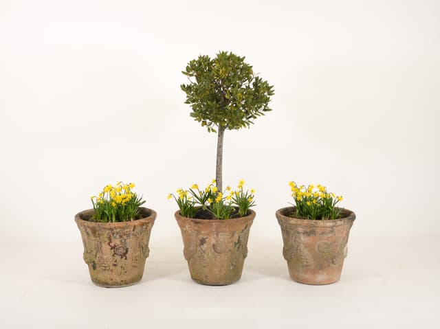 Set of 3 Anduze Planters 52cm