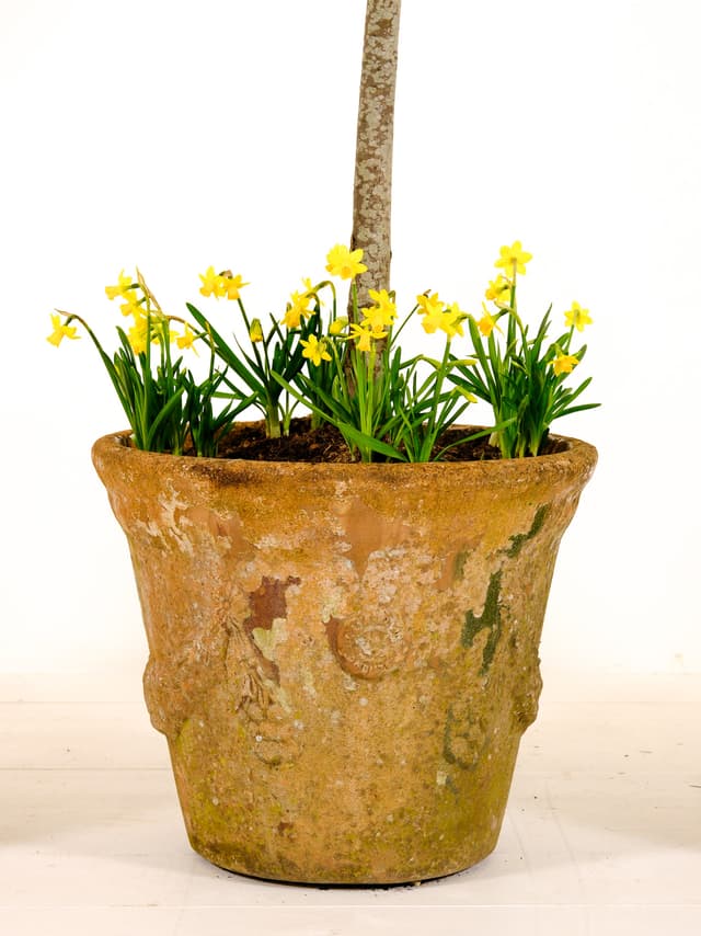 Set of 3 Anduze Planters 52cm gallery image 5