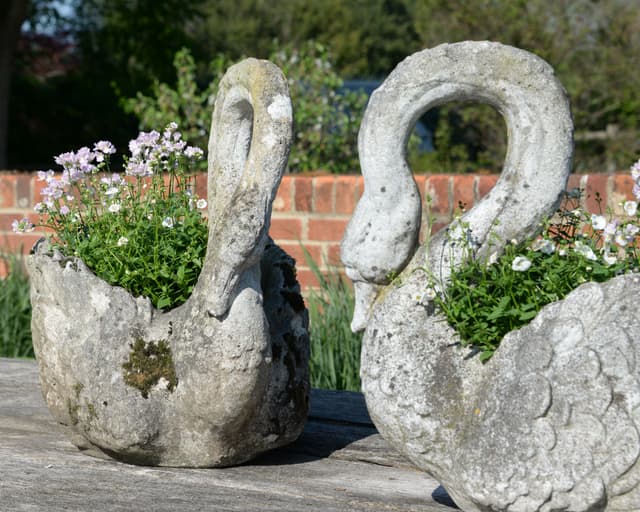 Pair of Composite Stone Swans gallery image 4