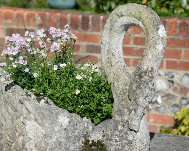 Pair of Composite Stone Swans gallery image 6