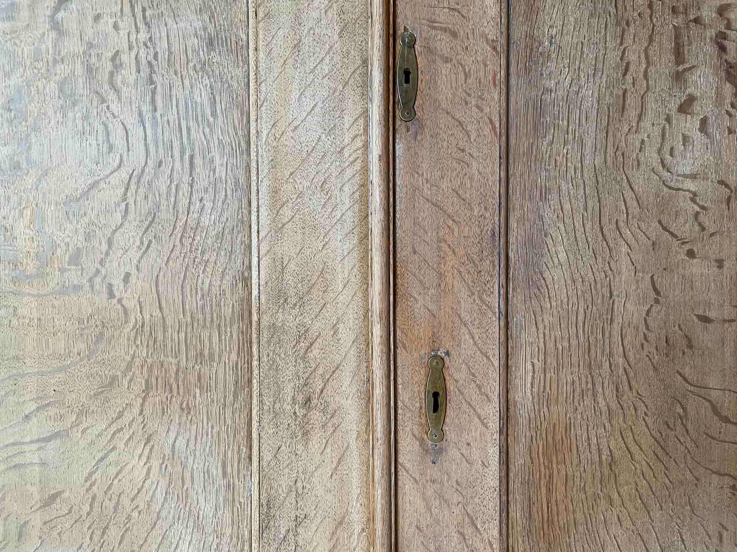 Dutch Oak 19th Century Cupboard gallery image 5