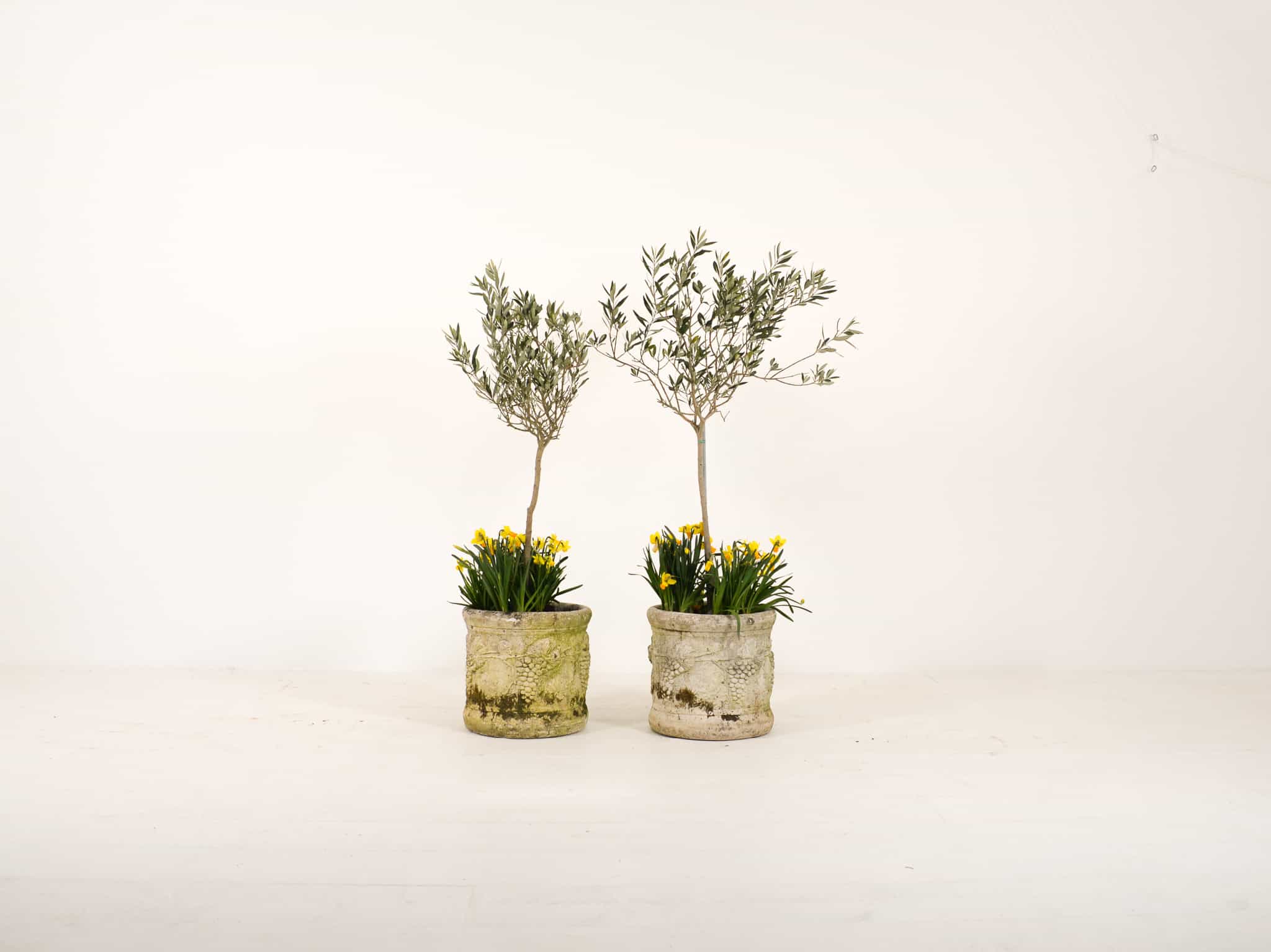 Pair of stone planters with grape design
