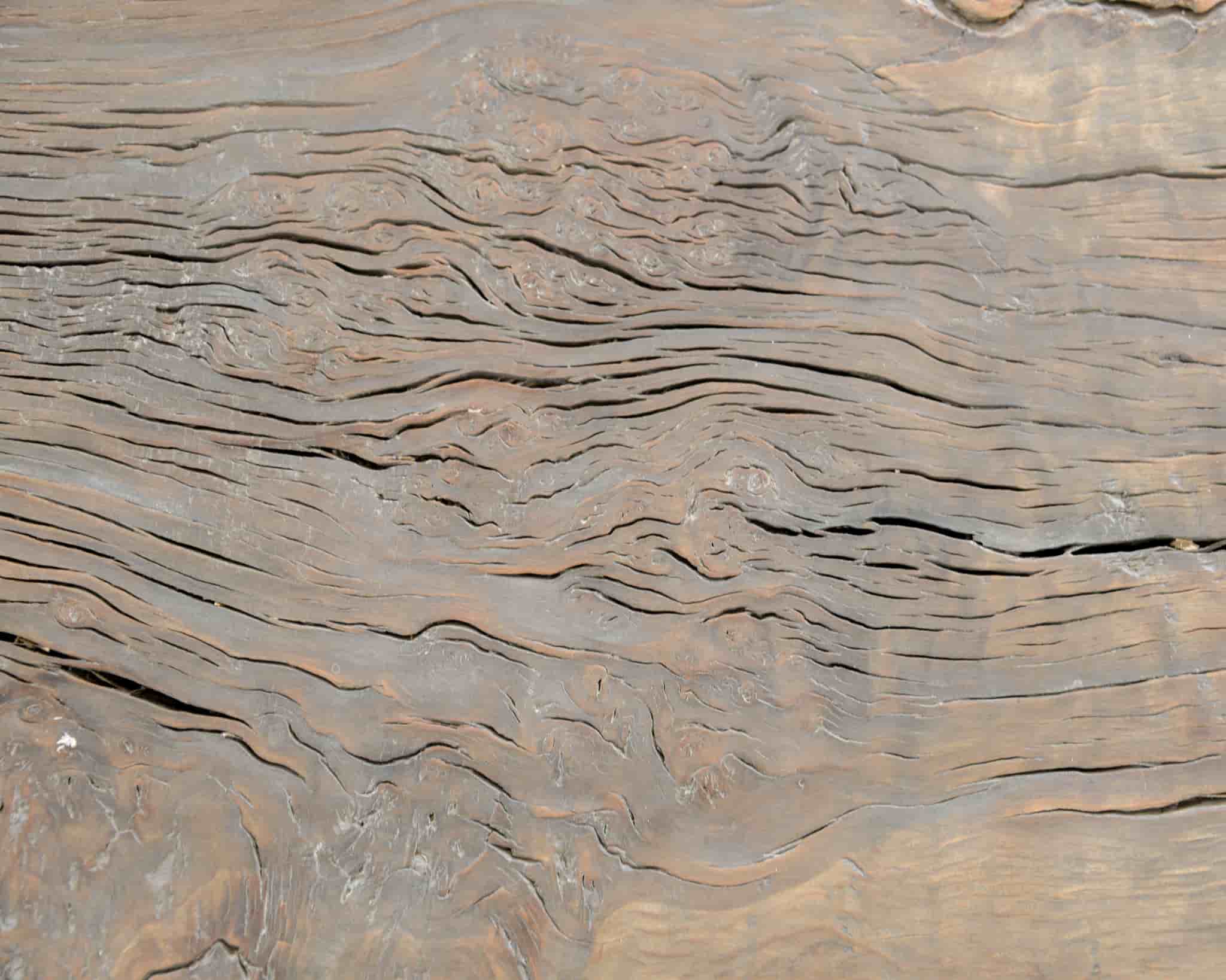 Chunky coffee table - single piece of tree trunk gallery image 3