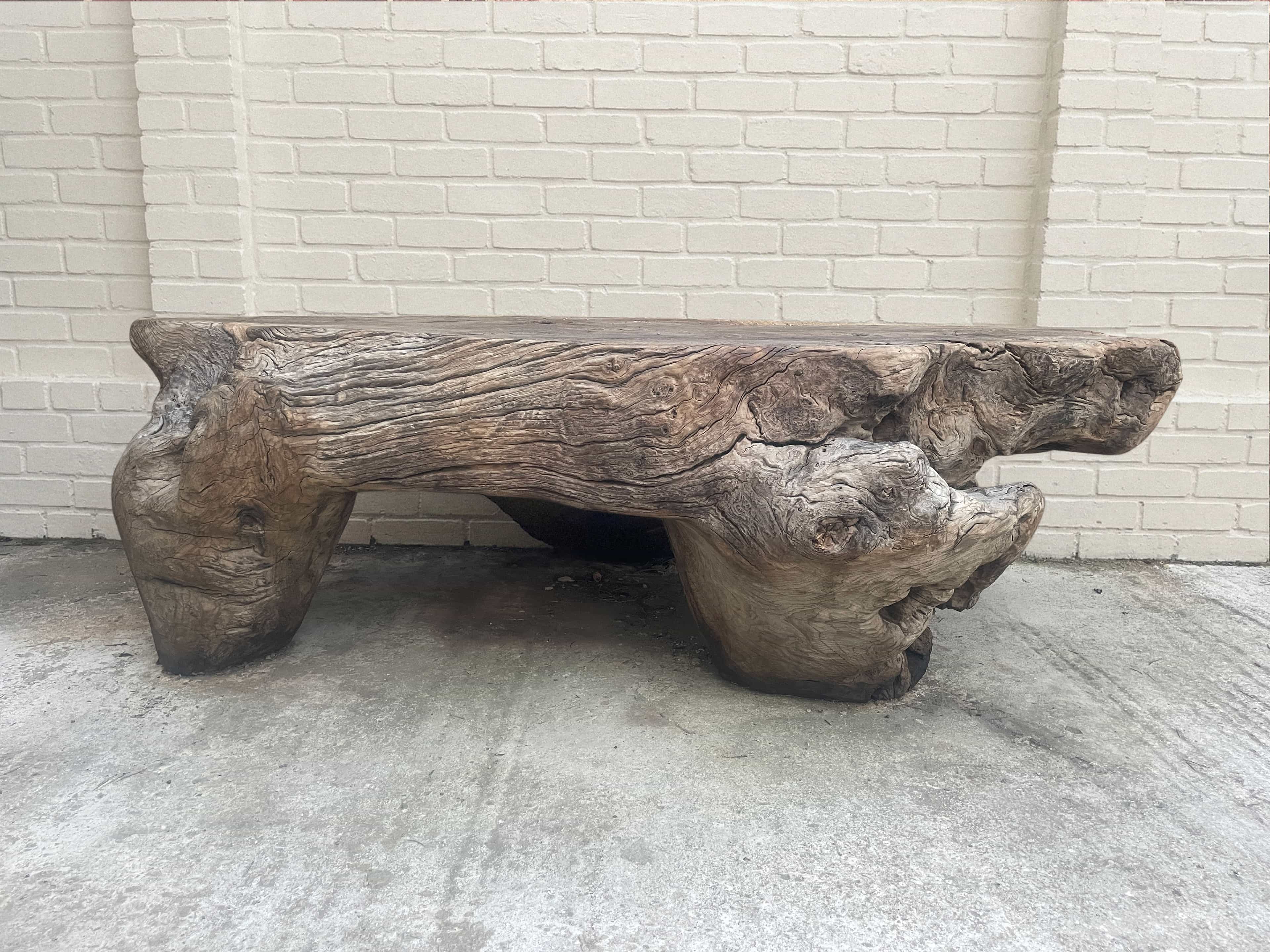 Sculptural Natural Form Coffee Table main image