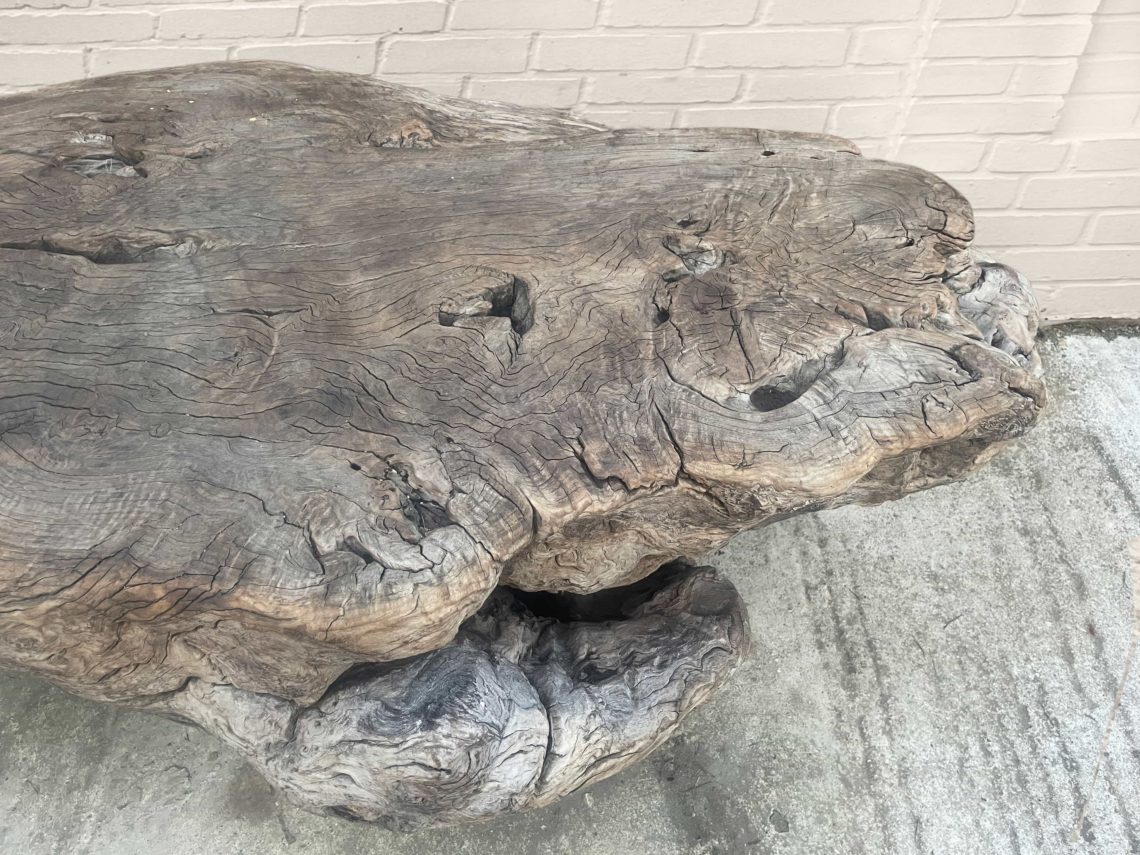 Huge organic form coffee table