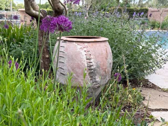 Spanish 19th century terracotta olive jar