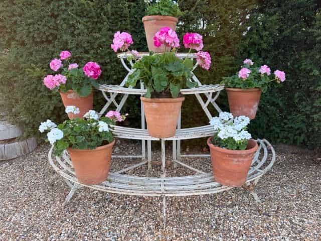 French plant étagère