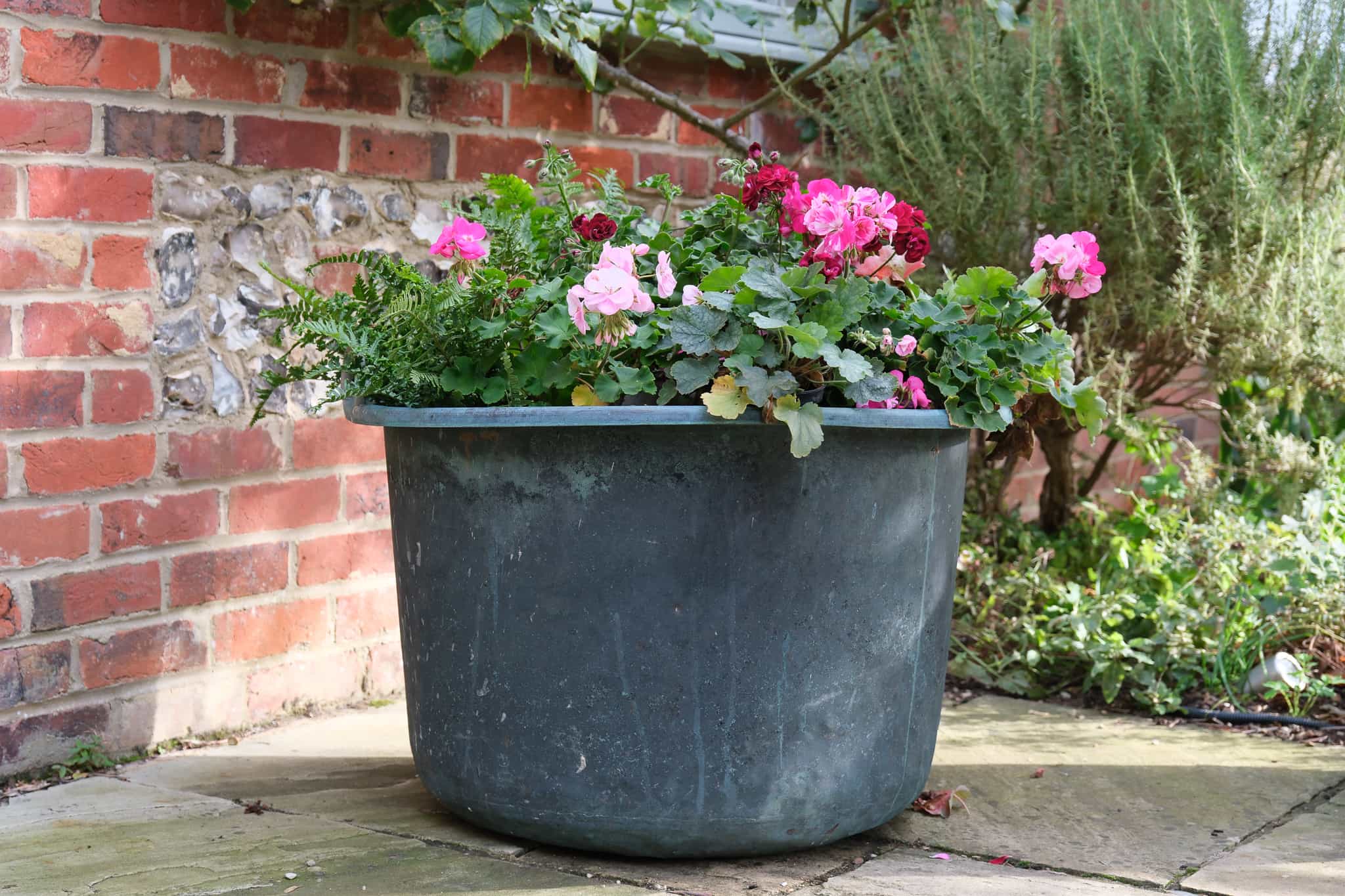 Copper planter