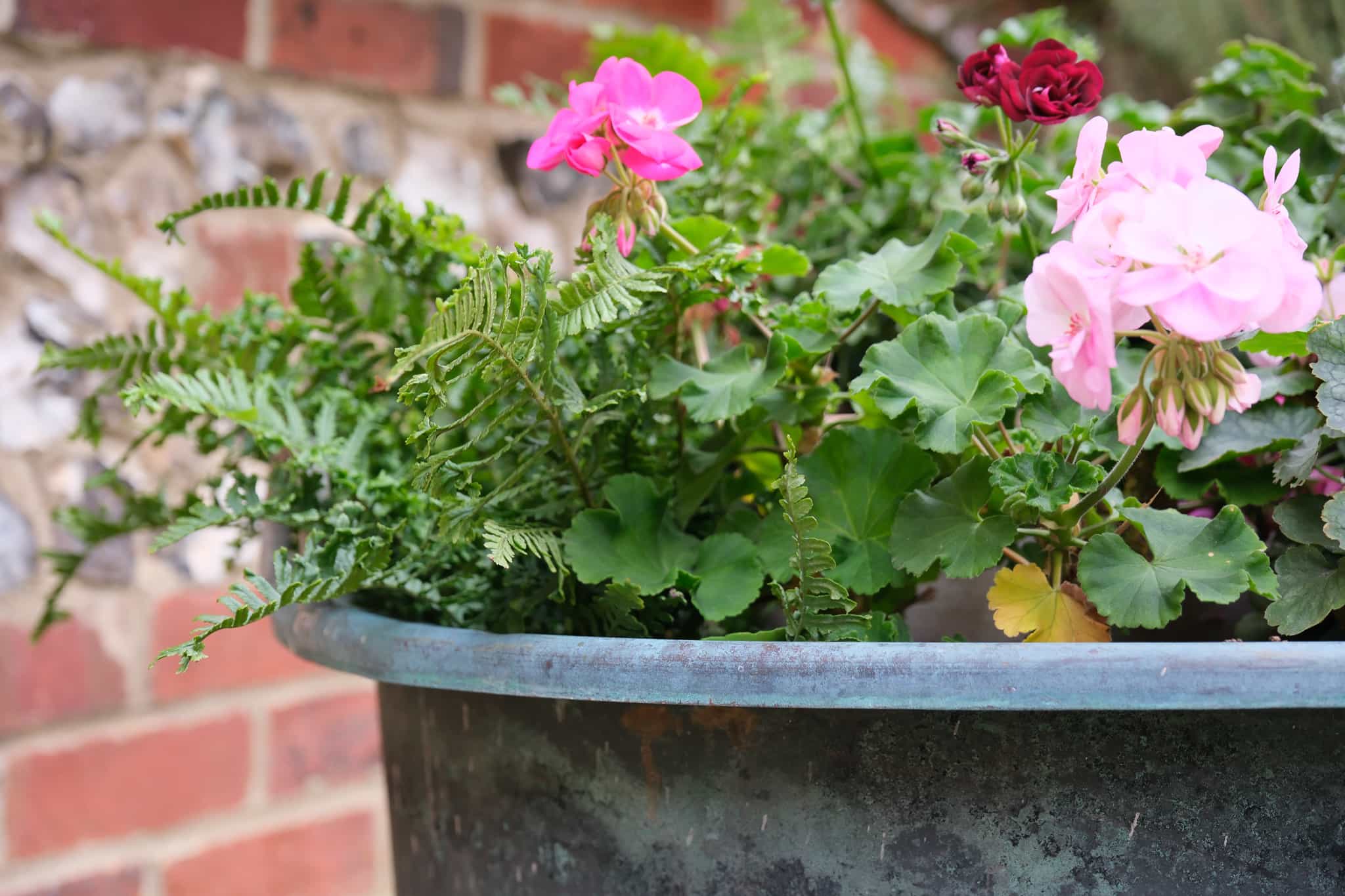 Copper planter